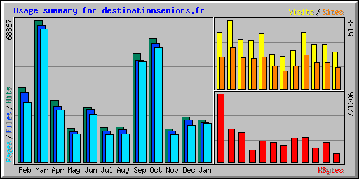 Usage summary for destinationseniors.fr